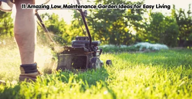 11 amazing low maintenance garden ideas for easy living