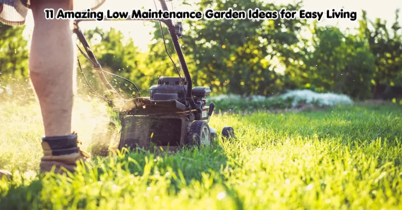 11 amazing low maintenance garden ideas for easy living