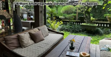 7 brilliant small vegetable garden ideas for tiny spaces