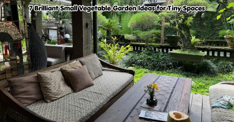 7 brilliant small vegetable garden ideas for tiny spaces