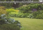 backyard garden ideas: 15 amazing ways to improve your yard