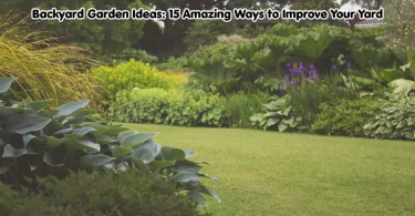 backyard garden ideas: 15 amazing ways to improve your yard